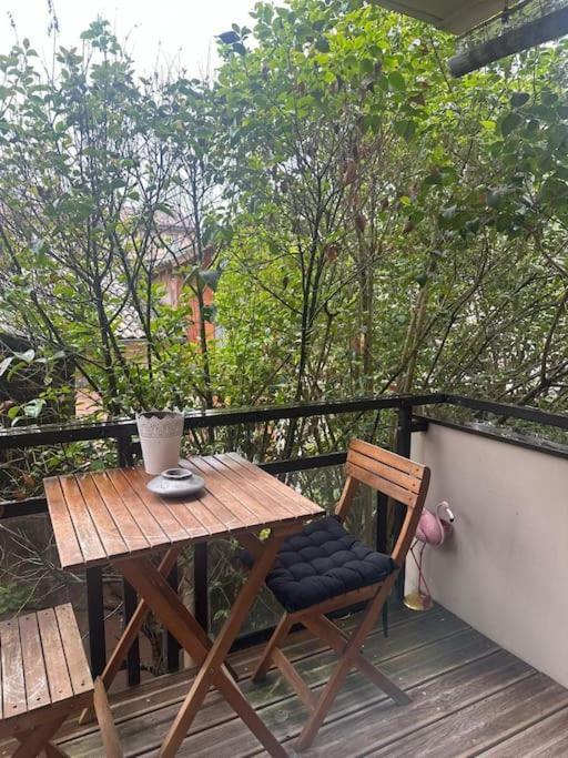 トゥールーズJardin Des Plantes Parking Securise Terrasse Et Ascenseurアパートメント エクステリア 写真