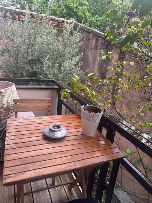 トゥールーズJardin Des Plantes Parking Securise Terrasse Et Ascenseurアパートメント エクステリア 写真